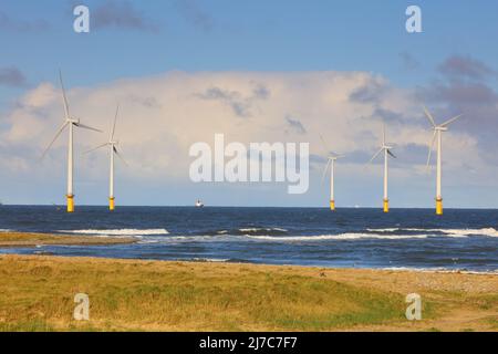 Windfarm offshore al largo della costa di Middlesbrough, Cleveland, North Yorkshire, Inghilterra, Regno Unito. Foto Stock