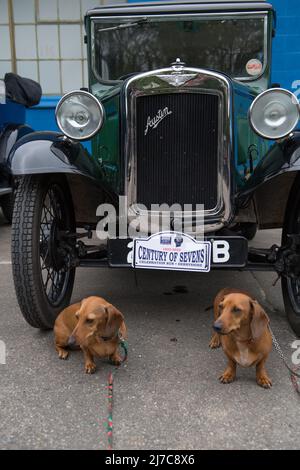 Century of Austin Sevens Celebration, Ambergate, Derbyshire, Inghilterra, Regno Unito. 8th maggio 2022. I soci del club automobilistico di Austin 7 prima della guerra che partecipano alla "Century of Sevens Celebration" ospitata dal museo Great British Car Journey. Il percorso, partendo e terminando da Ambergate, si snoda per 38 chilometri circa lungo le splendide strade e le stradine del Derbyshire Dales e del Peak District e terminerà con una torta di festa al museo. Credit: Alan Keith Beastall/Alamy Live News Foto Stock