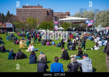 Rochester, NY, USA - 7 maggio 2022: Il Rochester Lilac Festival è il più grande festival gratuito dove i visitatori possono fare acquisti, ascoltare musica dal vivo, mangiare ed esplorare Foto Stock