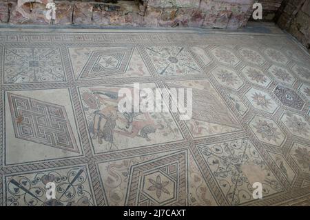 Antico mosaico romano con scena mitologica, chiamato la punizione di Dirce, trovato a Pula, Croazia Foto Stock