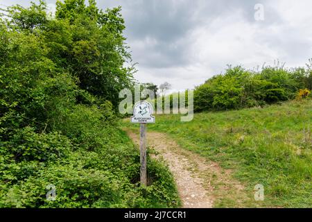 Vista del cartello con il nome del National Trust a Blatchford Down sulla North Downs Way, Abinger Hammer nella Surrey Hills Area of Outstanding Natural Beauty Foto Stock