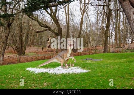 Modello del periodo cretaceo Dromaeosaurus, un dinosauro raptor, all'evento annuale di intrattenimento familiare Snowsaurus al Painshill Park, Cobham, Surrey Foto Stock