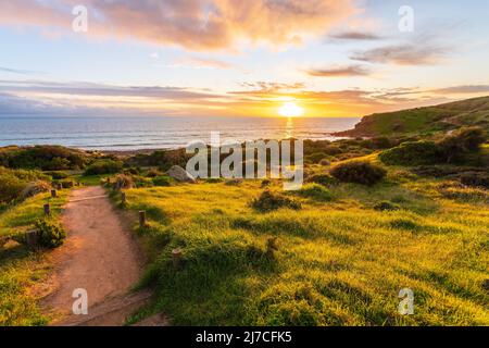 Hallett Cove Conservation Park Trail al tramonto, South Australia Foto Stock