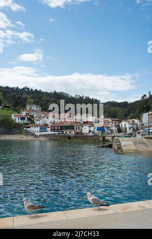 Colpo verticale di Tazones dal suo porto. Due gabbiani nella parte anteriore. Asturie. Spagna Foto Stock