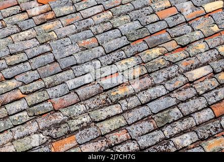 Vecchia decolatura rossa coperta di lichen Foto Stock