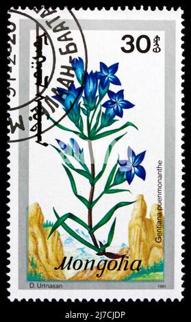 MONGOLIA - CIRCA 1991: Un francobollo stampato in Mongolia mostra Marsh Gentian, Gentiana Pneumonanthe, Wildflower, circa 1991 Foto Stock