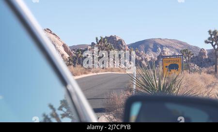 Tartaruga o tartaruga che attraversa il cartello stradale giallo, California USA. Segnaletica stradale Wild Animals xing. Fauna selvatica protezione, autostrada nel deserto deserto deserto selvaggio. Viaggio in auto nel parco nazionale di Joshua Tree Foto Stock