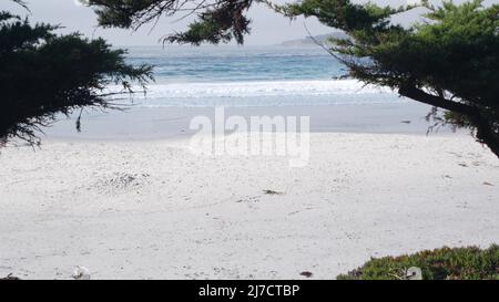 Spiaggia sabbiosa oceano a Carmel, Monterey natura, costa californiana, Stati Uniti. Grandi onde di acqua di mare schiumose che si infrangono sulla riva. Resort fronte mare per vacanze. Tempo nebbia soleggiato, pino cipresso albero. Foto Stock