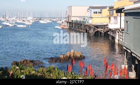 Colorate case di legno su pali o colonne, baia o porto oceano, acqua di mare. Vecchio Fisherman's Wharf. Barche a vela, barche a Monterey Marina, California costa USA. Lungomare turistico, fiori. Foto Stock