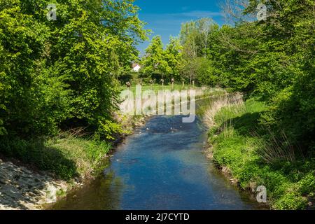 Germania, Senden (Westfalen), Muensterland, Westfalia, Renania settentrionale-Vestfalia, NRW, paesaggio del torrente Stever Foto Stock