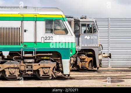 Le locomotive della Irish Rail sono in stalla presso la Inchicore Railway Works, Dublino, Irlanda. Foto Stock