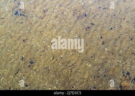 Sabbia e pietre di ciottoli sotto la texture di sfondo dell'acqua. Terra di un lago con acqua limpida in cima. Sfondo astratto in un'area naturale. Foto Stock