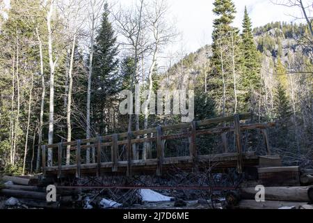 Un ponte di legno aiuta gli escursionisti attraverso un fiume sul sentiero Hessie nelle Montagne Rocciose del Colorado Foto Stock