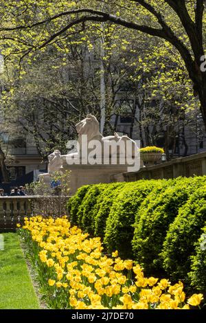 Statua del Leone in primavera, New York Public Library, Main Branch, New York 2022 Foto Stock