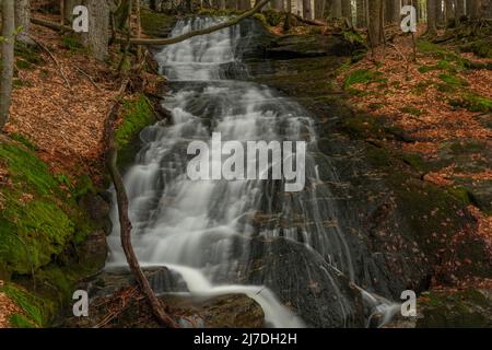 Cascata di Geigenbachfalle vicino alla collina di Groser Arber in Germania in primavera mattina Foto Stock