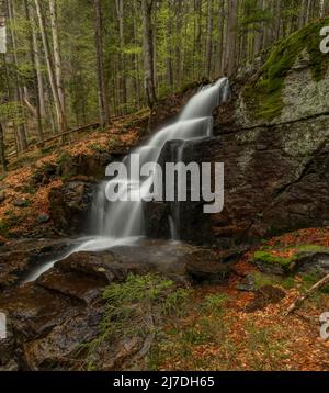 Cascata di Geigenbachfalle vicino alla collina di Groser Arber in Germania in primavera mattina Foto Stock