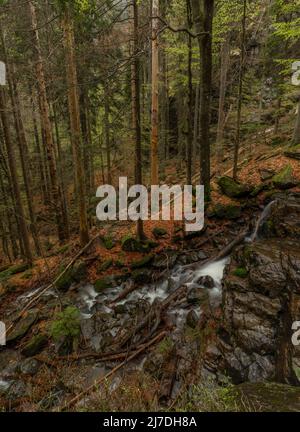 Cascata di Geigenbachfalle vicino alla collina di Groser Arber in Germania in primavera mattina Foto Stock