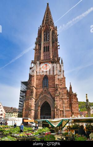 Friburgo, Germania - Aprile 2022: Cattedrale di Friburgo con mercato giornaliero nel centro della città Foto Stock