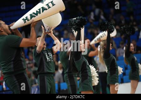 Hawaii Rainbow Warriors cheerleaders durante una semifinale del torneo di pallavolo universitario maschile NCAA contro i Ball State Cardinals, giovedì 5 maggio 2022, a Los Angeles. Foto Stock