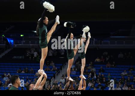 Hawaii Rainbow Warriors cheerleaders durante una semifinale del torneo di pallavolo universitario maschile NCAA contro i Ball State Cardinals, giovedì 5 maggio 2022, a Los Angeles. Foto Stock