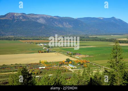 Paesaggio agricolo canadese di terreni agricoli e l'agricoltura nella valle di Creston situato nella regione di Kootenay vicino a Creston, British Columbia, CAN Foto Stock