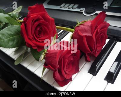 Concetto romantico - red rose su tasti di pianoforte Foto Stock