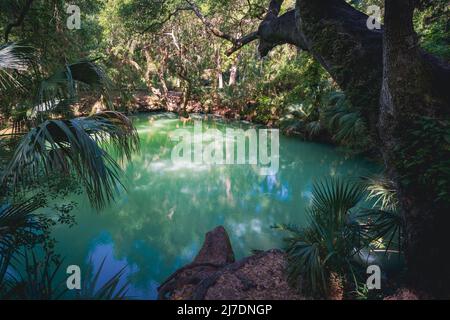 Green Springs Park a Deltona, Florida Foto Stock