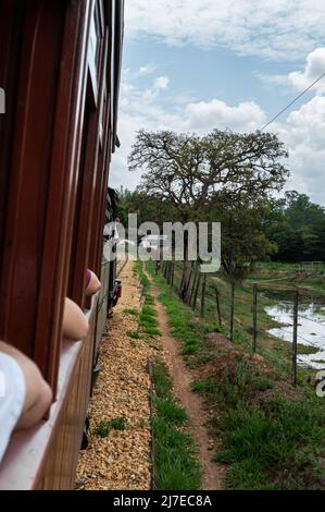 Vista parziale dei campi verdi visti durante il giro in treno a vapore con locomotiva mentre ci si dirige verso la storica città di Sao Joao del Rei. Foto Stock