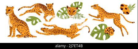 Leopardo, animali africani con foglie tropicali, seduti, saltando e correndo per preda Illustrazione Vettoriale