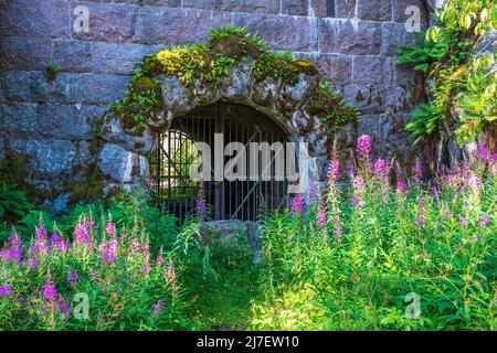 Ingresso tunnel con cancello di ferro in una vecchia fortezza Foto Stock