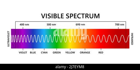 Spettro luminoso visibile, infared e ultravioletto. Lunghezza d'onda della luce ottica. Spettro di colori visibili elettromagnetici per l'occhio umano. Diagramma gradiente Illustrazione Vettoriale