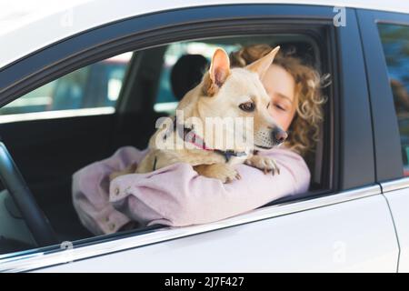 Donna europea dai capelli ricci nel suo 20s seduto in auto dietro un volante che tiene un cane curioso beige tra le braccia. Cane che si stacca fuori un finestrino dell'automobile. Foto di alta qualità Foto Stock