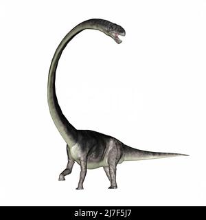 Omeisaurus dinosauro ruggito con il collo lungo - 3D resa Foto Stock