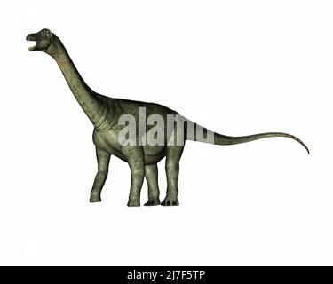 Saltasaurus dinosauro ruggito e camminare - 3D resa Foto Stock