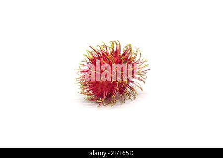 Frutta di rambutan isolata su sfondo bianco. Foto Stock