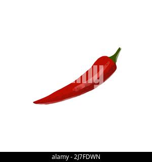 Illustrazione di peperoncino rosso caldo isolato su sfondo bianco Illustrazione Vettoriale