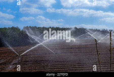 Irrigatori irrigare un campo agricolo fotografato in Israele questo è un metodo di irrigazione inefficiente in quanto l'esatta area di irrigazione è difficile da cont Foto Stock