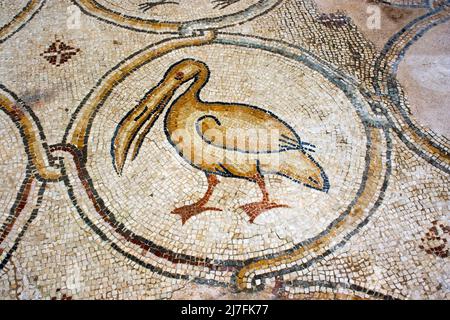 Israele, pianure costiere, Cesarea, il Palazzo del Mosaico degli Uccelli un piano 14,5 x 16m di una villa del periodo bizantino, 6-7th secolo CE Foto Stock