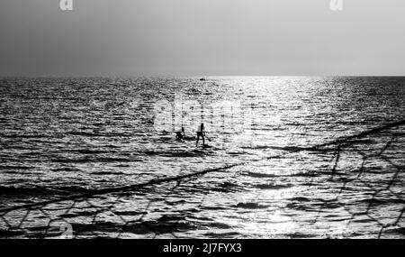 Coppia stand up paddle a Gaeta, Lazione (Italia), al tramonto Foto Stock