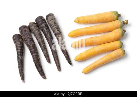 Carote fresche di colore giallo crudo e nero isolate su sfondo bianco da vicino Foto Stock