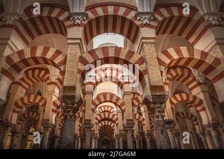 All'interno della famosa Mezquita con la sua splendida architettura. La moschea-cattedrale di Córdoba è la cattedrale della diocesi cattolica di Córdoba d Foto Stock