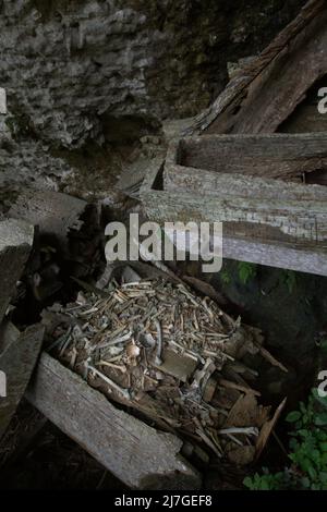 Tradizionale luogo di sepoltura nel villaggio di Kete Kesu, Toraja Nord, Sulawesi Sud, Indonesia. Foto Stock