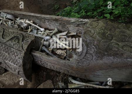 Sarcofago indigeno pieno di ossa umane in un sito di sepoltura tradizionale nel villaggio di Kete Kesu, Toraja settentrionale, Sulawesi meridionale, Indonesia. Foto Stock