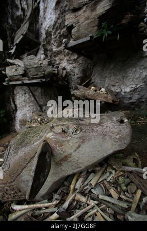 Sculture in legno di testa di bufalo e ossa umane nel sito di sepoltura indigena nel villaggio di Kete Kesu, Toraja settentrionale, Sulawesi meridionale, Indonesia. Foto Stock