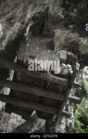 Sarcofago sospeso in un tradizionale luogo di sepoltura nel villaggio di Kete Kesu, Toraja Nord, Sulawesi Sud, Indonesia. Foto Stock