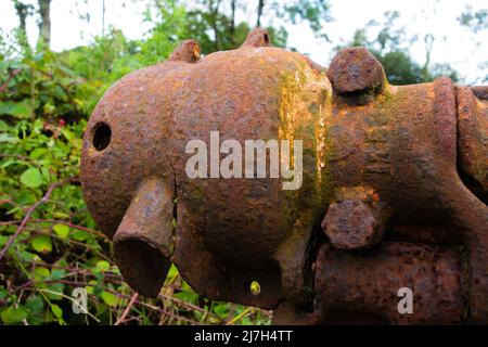 particolare di macchine agricole arrugginite e scartate che posano in un campo con brambles sullo sfondo Foto Stock