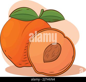 Illustrazione del vettore di schizzo del colore pesca isolato Illustrazione Vettoriale