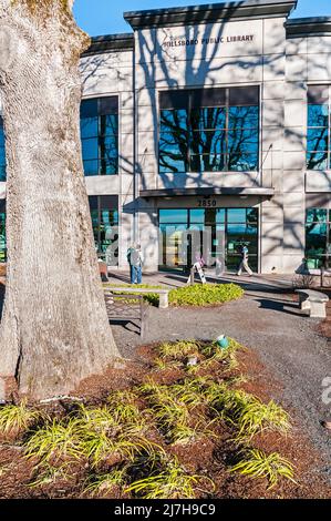 Persone di fronte alla biblioteca pubblica Hillsboro Brookwood vicino al Duck Pond Park di Hillsboro, Oregon, con un albero di quercia in primo piano. Foto Stock