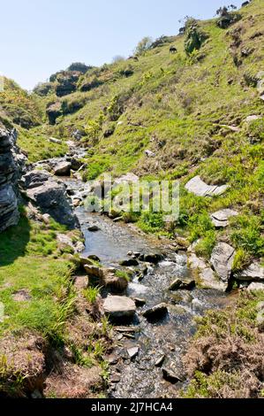 Valle rocciosa tra Boscastle e Tintagel, Cornovaglia, Inghilterra Foto Stock