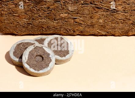 Bricchette di fibra di cocco e torba rotonda su sfondo beige. Giardinaggio, ombra Foto Stock